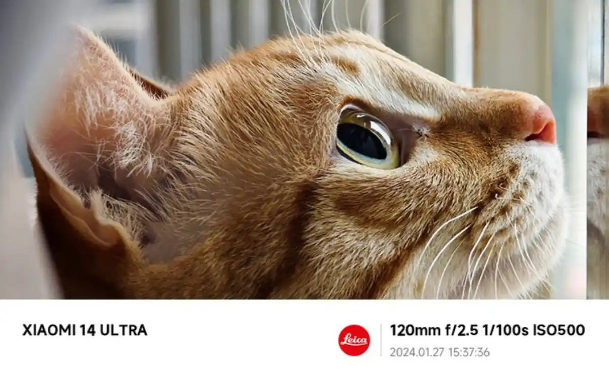 xiaomi 14 ultra 6