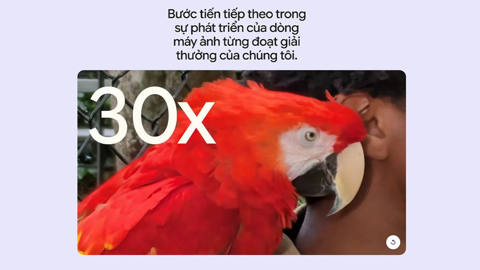 Camera tele 5x trên Google Pixel 11 hỗ trợ Super Zoom lên tới 30x