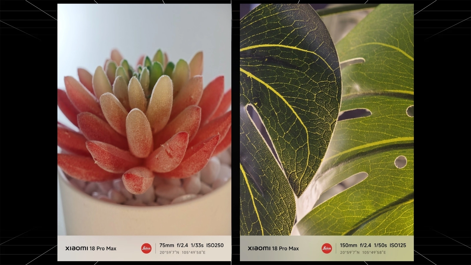 Đánh giá camera Xiaomi 18 Pro Max: Leica kép 200MP, tele 75mm đa dụng 6 Hình ảnh chụp bằng camera tele của Xiaomi 18 Pro Max